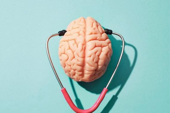 langing page cerebro